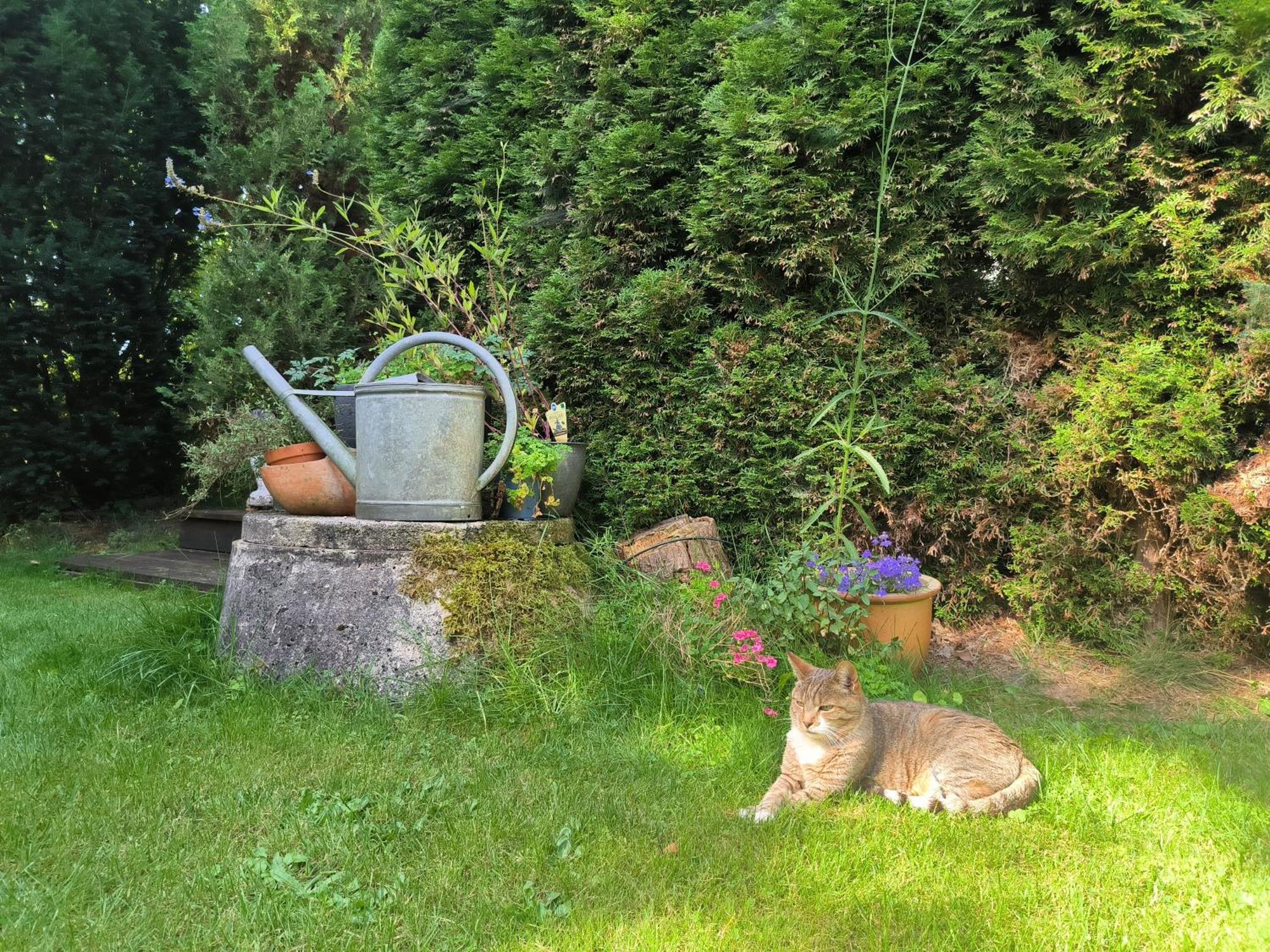 Ferienhaus Inger - Stilvolles Und Modernes Ferienhaus Mit Terrasse Und Gartennutzung 塔普 外观 照片